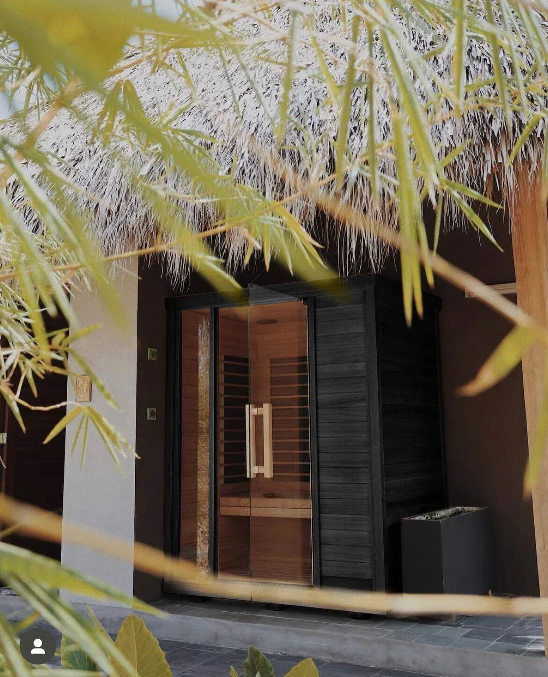 Entrance door with a black frame and bamboo leaves overhead.